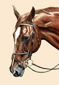 Jumper, Equine Art - Big Ben